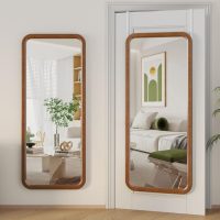 door mirror